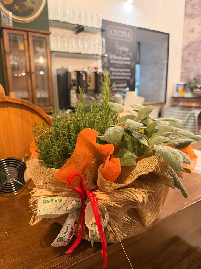 Dettaglio floreale e arredi della Trattoria Gioberti